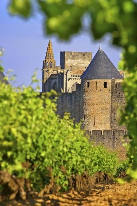 Domaine Villecarla Villedubert